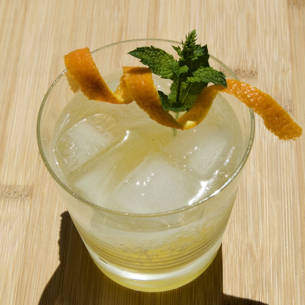 Orange Mint Gin Spritzer First Order Gin