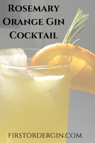 Rosemary Orange Gin Cocktail Pin