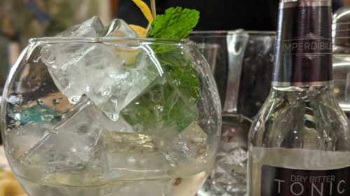 gin and tonic with mint
