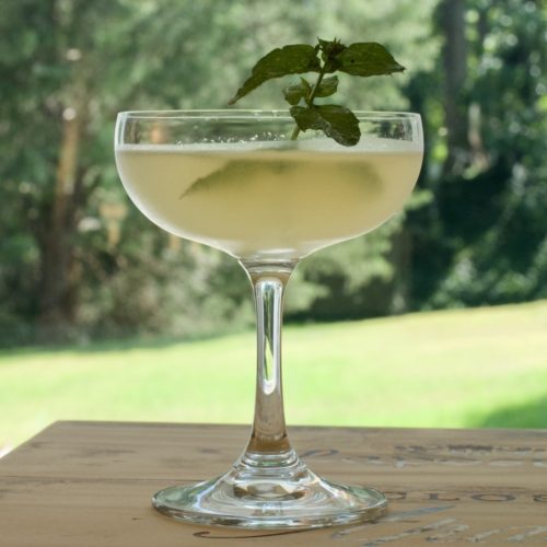 Pavan Peacock Gin Cocktail