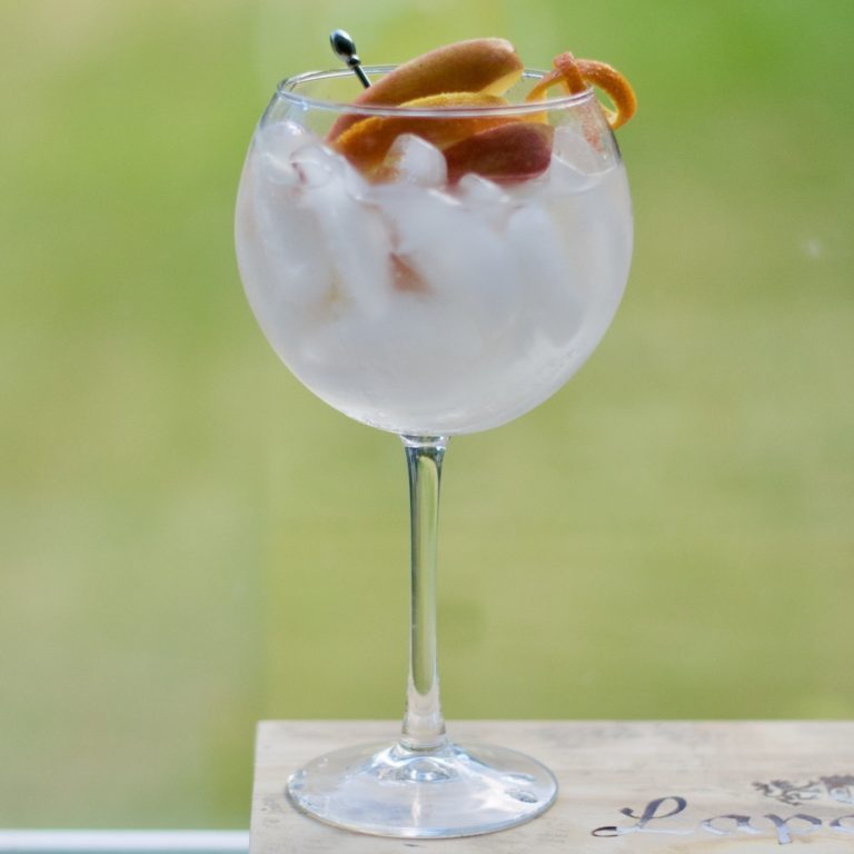 Gin and Bitters Cocktail Bring on the Flavors First Order Gin