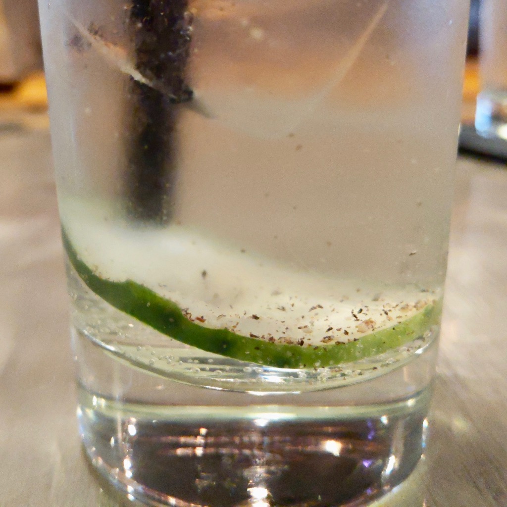 The Peppered Gin and Tonic Cocktail First Order Gin