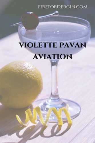Violette Pavan Aviation - Pin this!