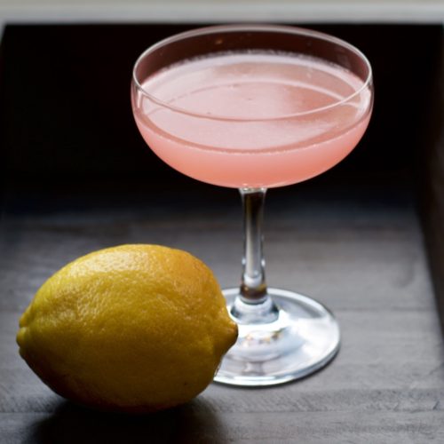 Jasmine Gin Cocktail with Lemon