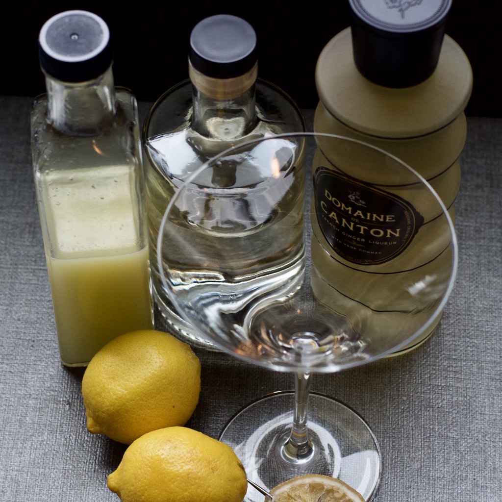 The Gin and Ginger Martini Gin, Ginger Liqueur, Lemon First Order Gin