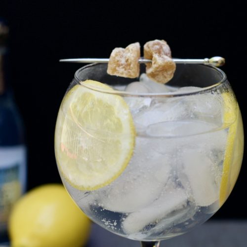 Honey Ginger Gin and Tonic