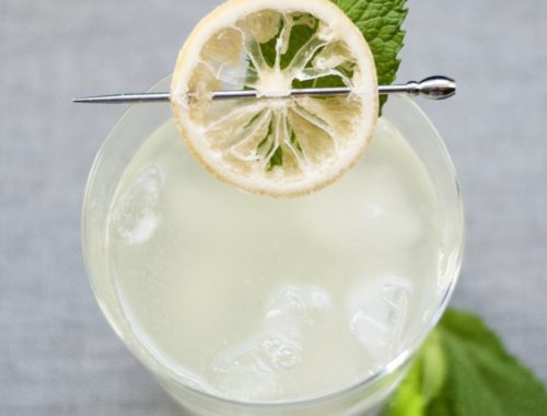 Sauvignon Gin Cocktail with Mint and Lemon FI