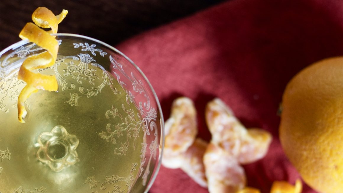 The Martinez Cocktail with Orange FI