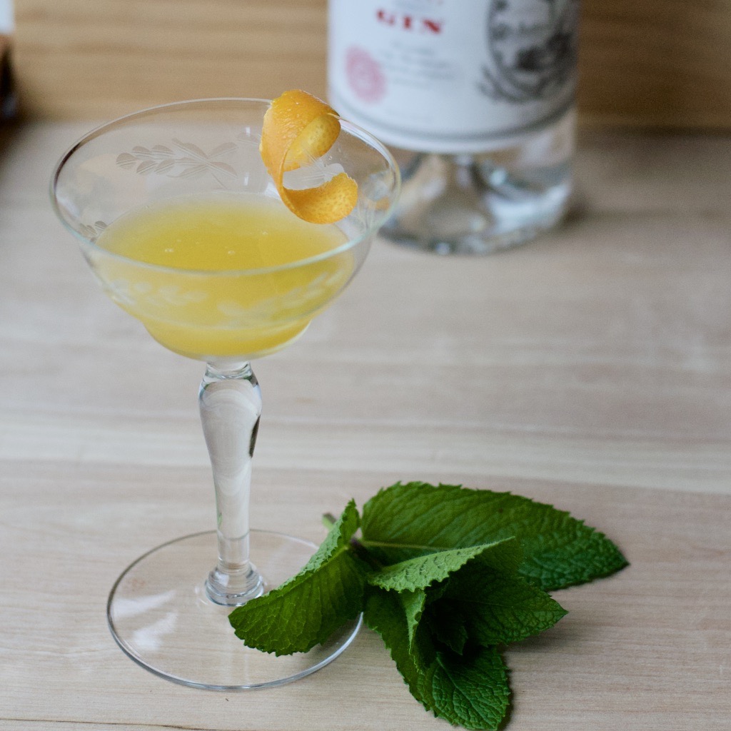 11 Unique 3 Ingredient Gin Cocktail First Order Gin