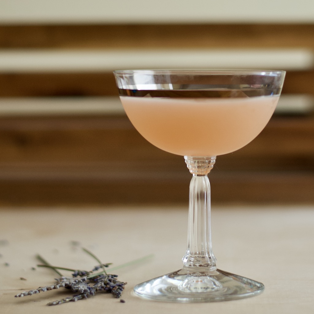 Grapefruit and Lavender Gin Martini First Order Gin