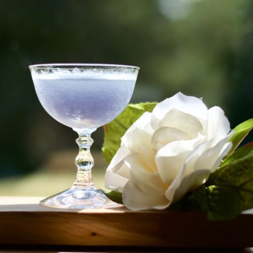 Water Lily Gin Cocktail (1)